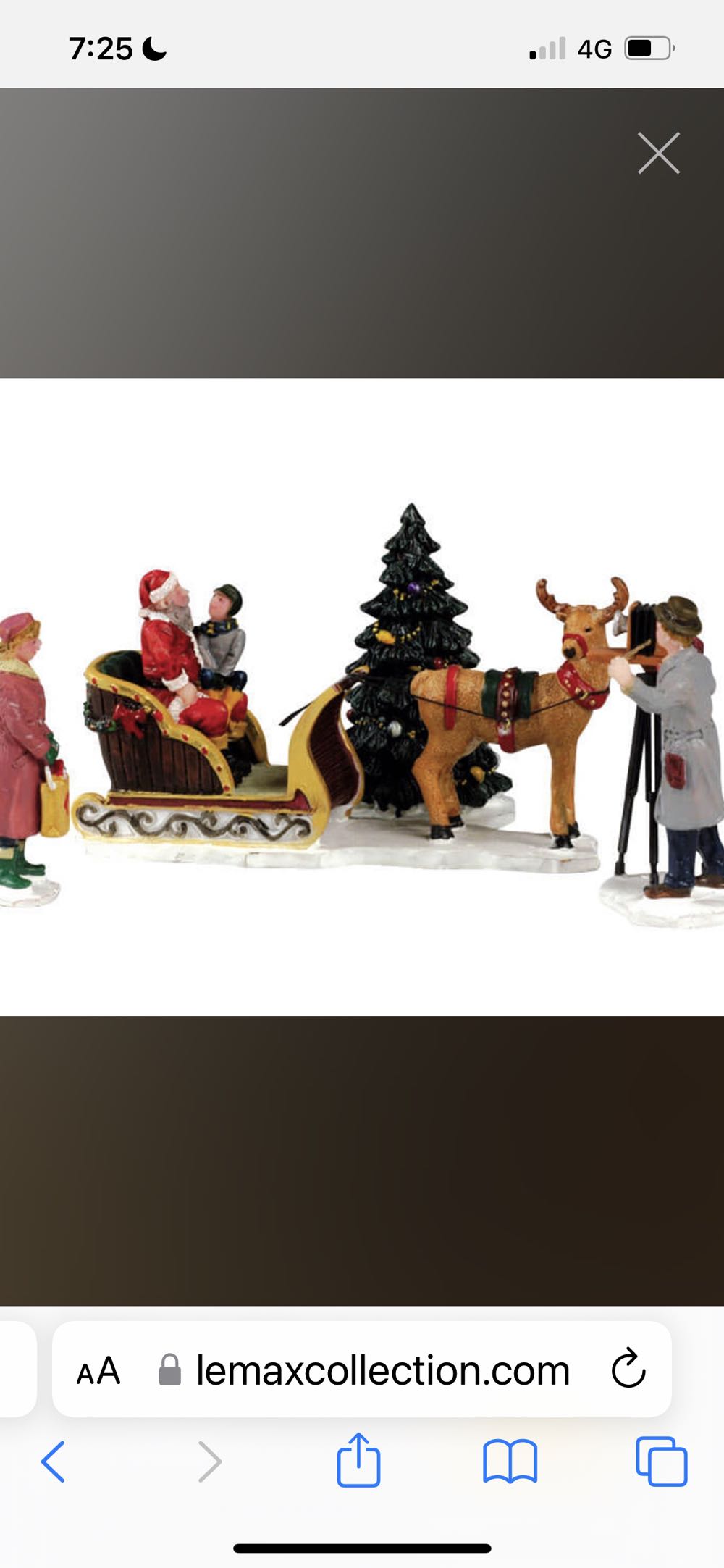 Garland ice crystal and pinecones