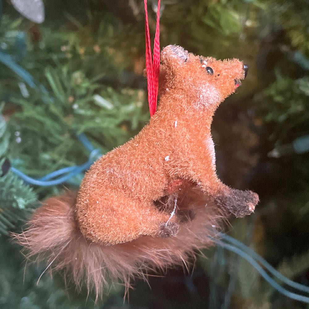 Milkweed Pod - Angel