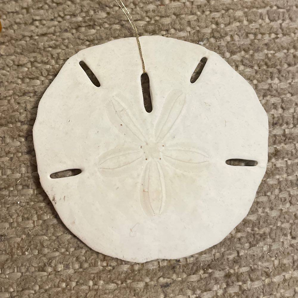 Sand Dollar - Sand Dollar (Ocean) ornament collectible - Main Image 1