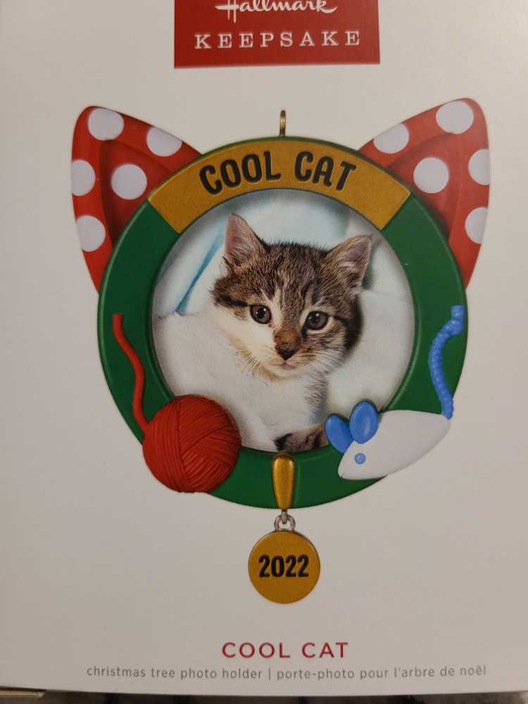 Cool Cat Wreath - Cat Photo Frame (Cats) ornament collectible [Barcode 763795730926] - Main Image 2