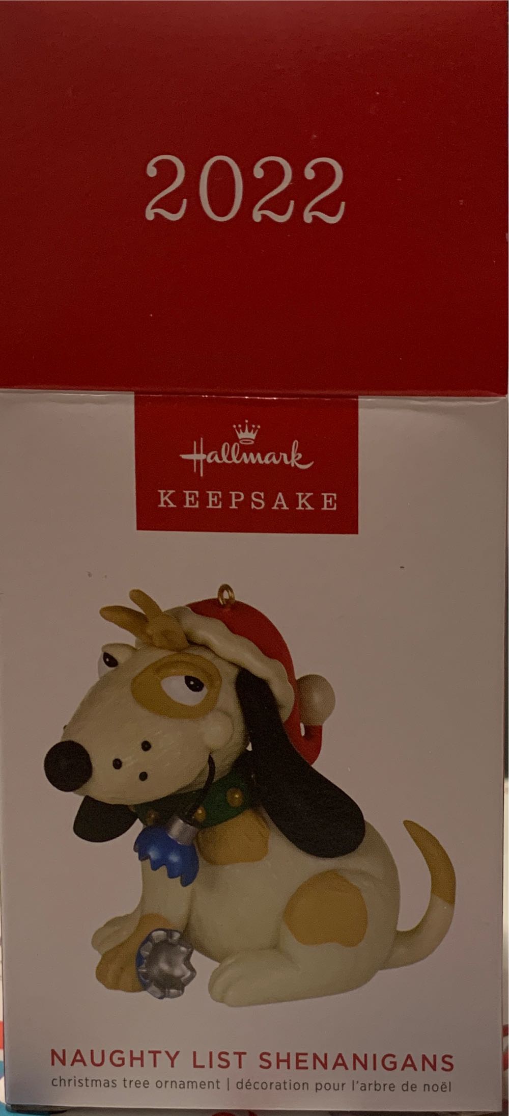 Christian Ulbricht - Star With Angel