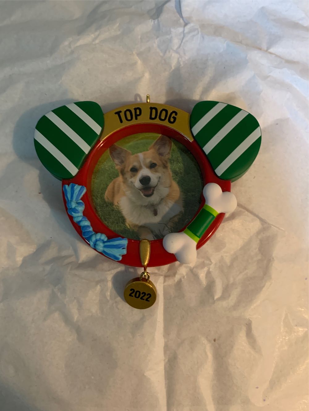 Top Dog (Pets) - Pets (Dogs) ornament collectible [Barcode 763795730933] - Main Image 3