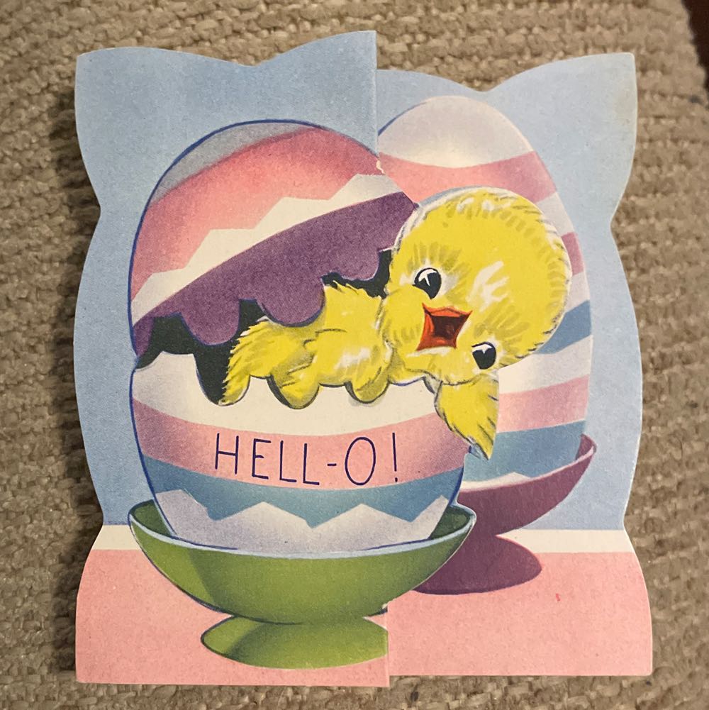 #65385 Shep’s Ship Shape Gym