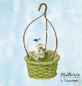 Mary’s Angels 35 - Aster