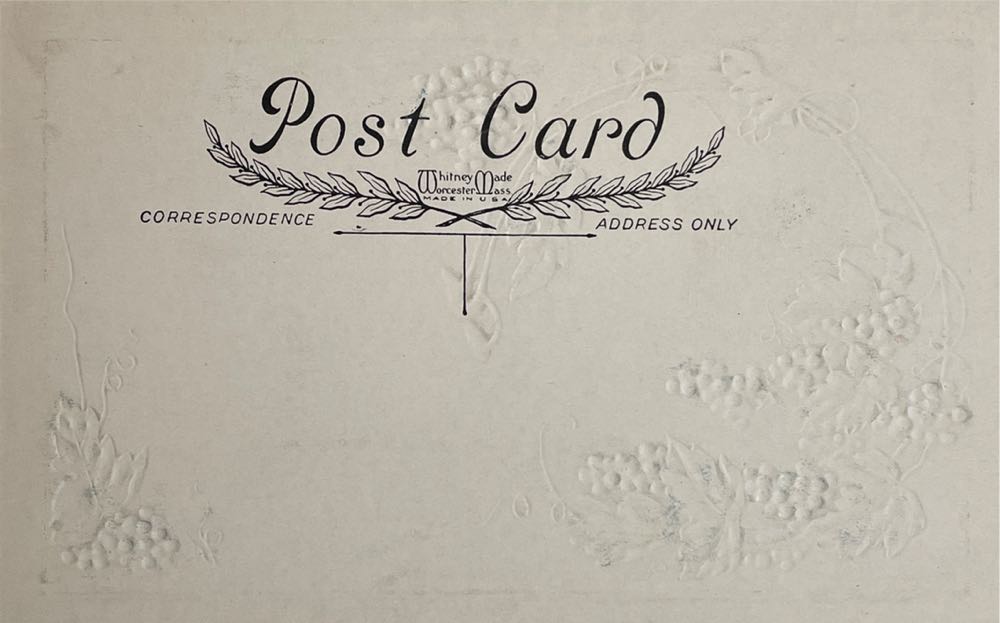 Postcard - Whitney - Thanksgiving - Grapes - Thanksgiving (Postcard) ornament collectible - Main Image 2