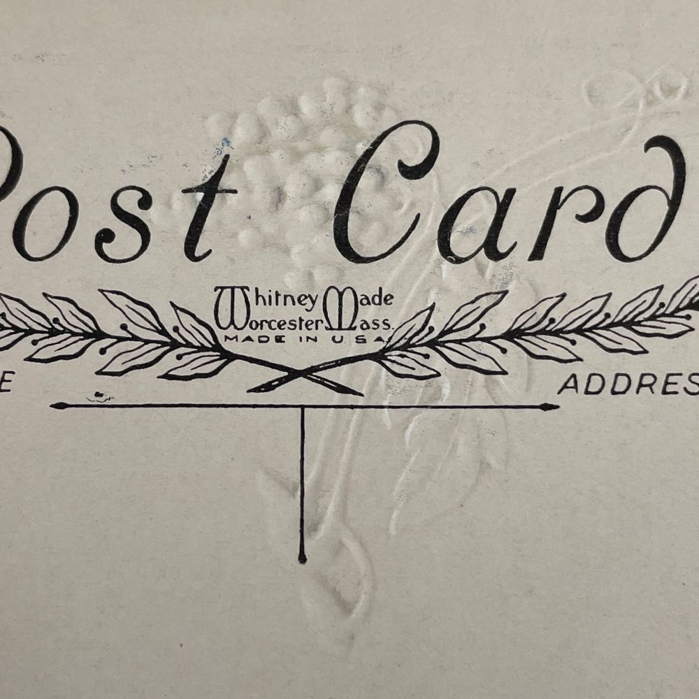 Postcard - Whitney - Thanksgiving - Grapes - Thanksgiving (Postcard) ornament collectible - Main Image 3