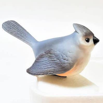 Football Washington Redskins