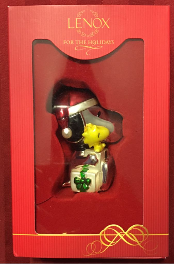 SW Storyteller Princess Leia Organa