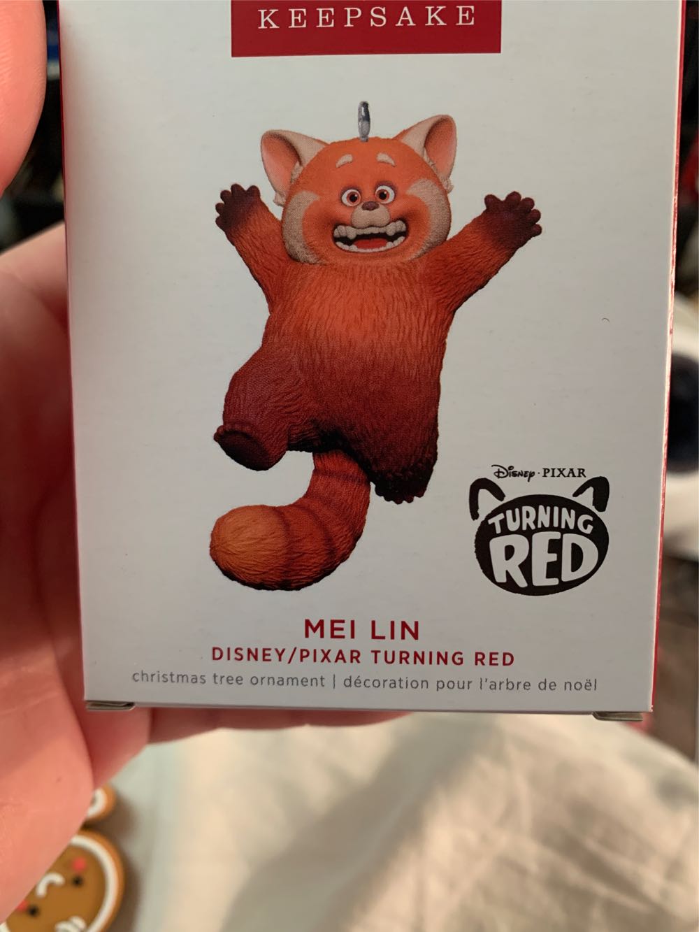 The Festival Of Lights