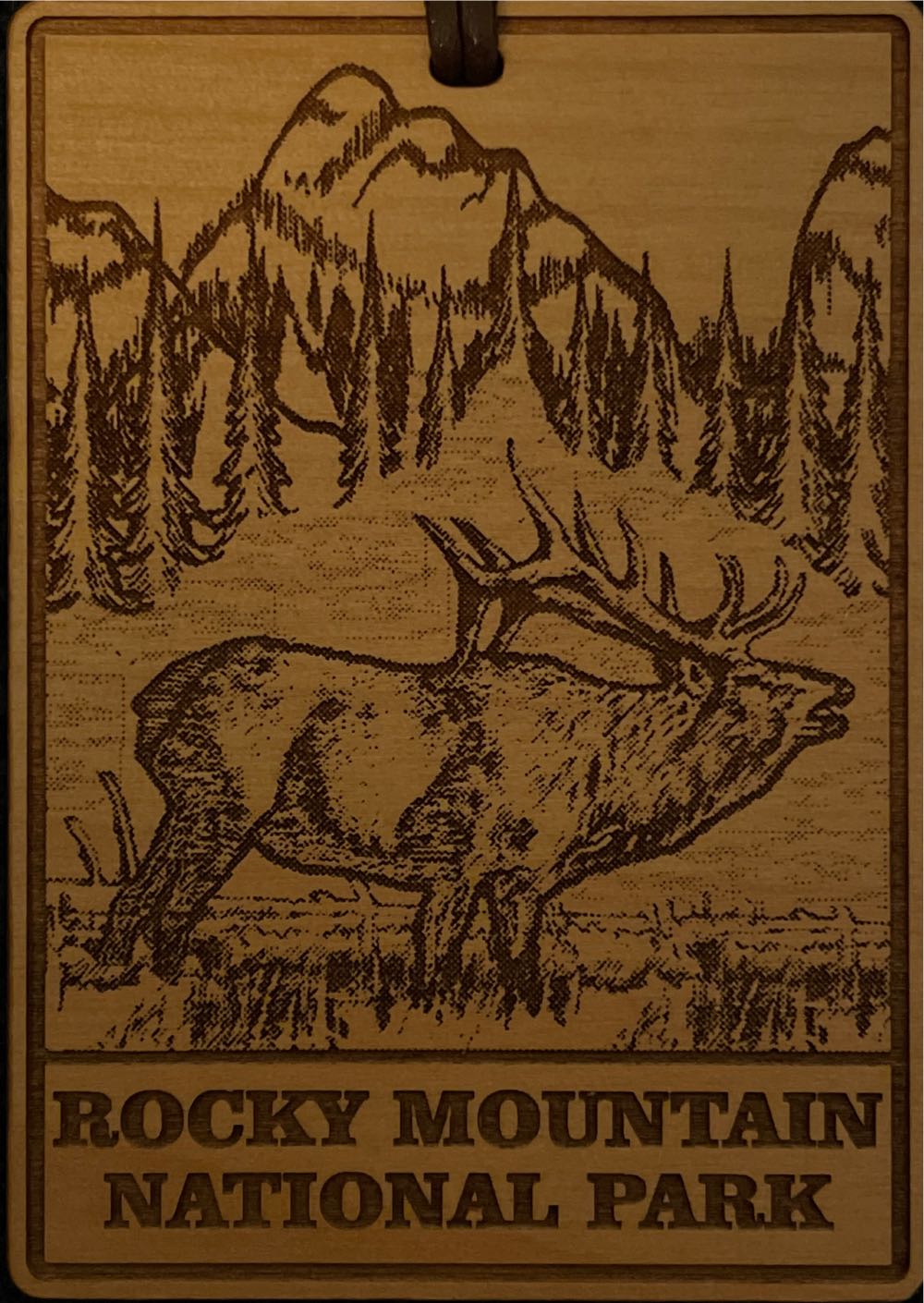 21 Longmeadow Dr Canton Ma 02021