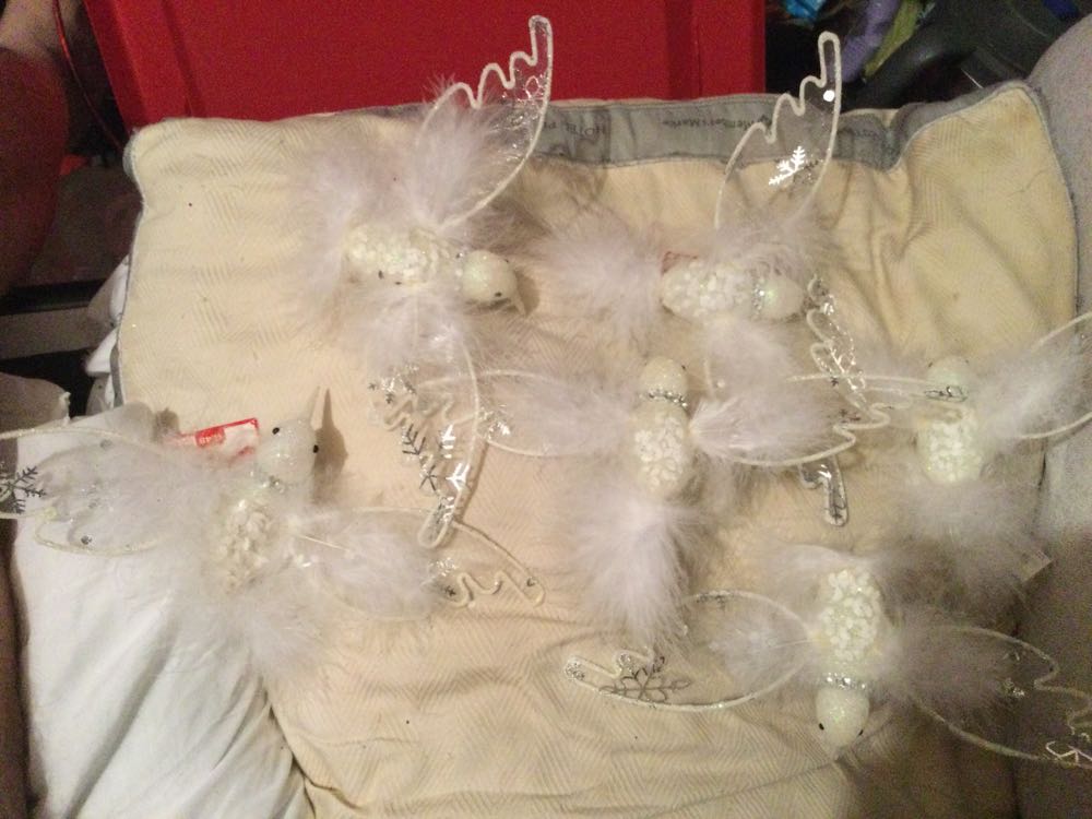 Holland House Tulip Garden #25897