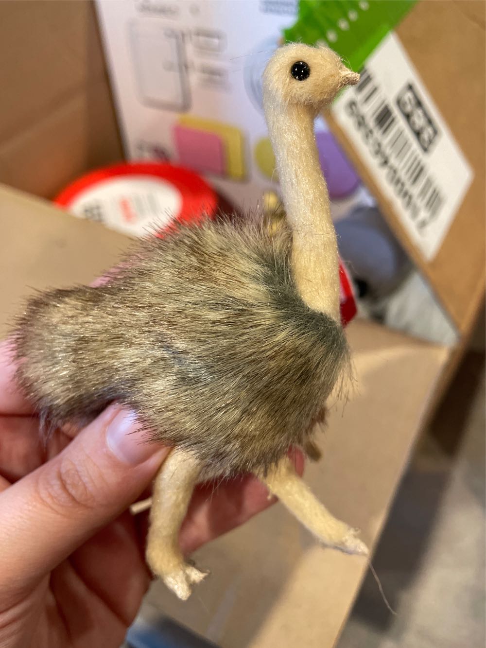 ANIMALS - Ostrich Joanns  ornament collectible [Barcode 194234060418] - Main Image 1