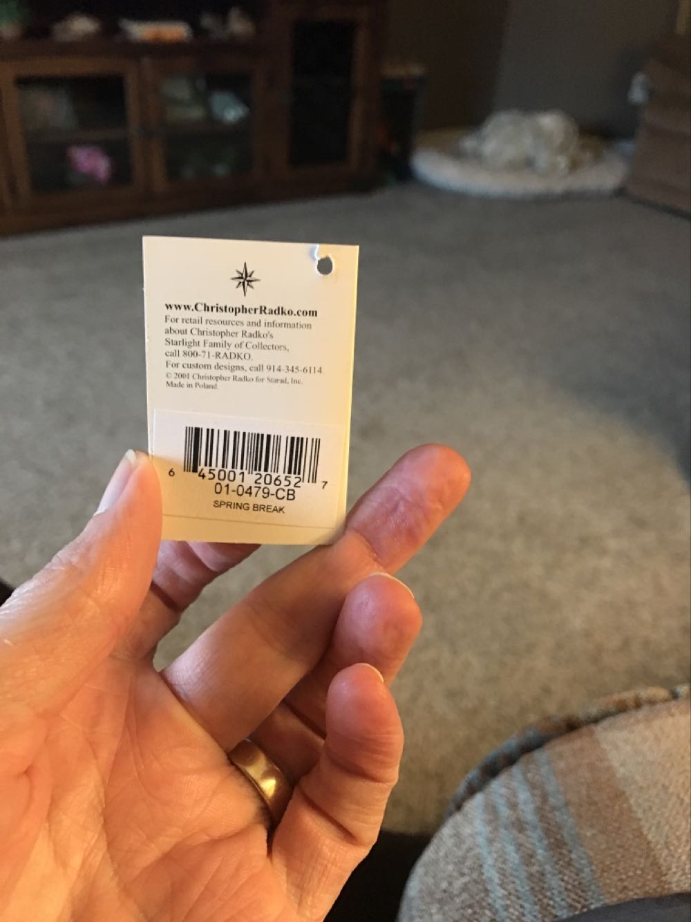 Spring Break  ornament collectible [Barcode 645001206527] - Main Image 2