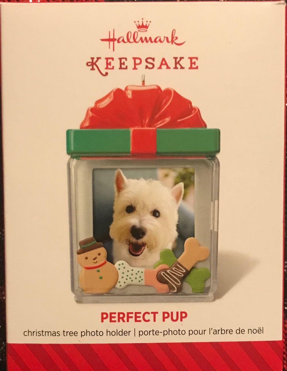 Circus - Chinese Silk - Clown Balancing On Leaping Horse