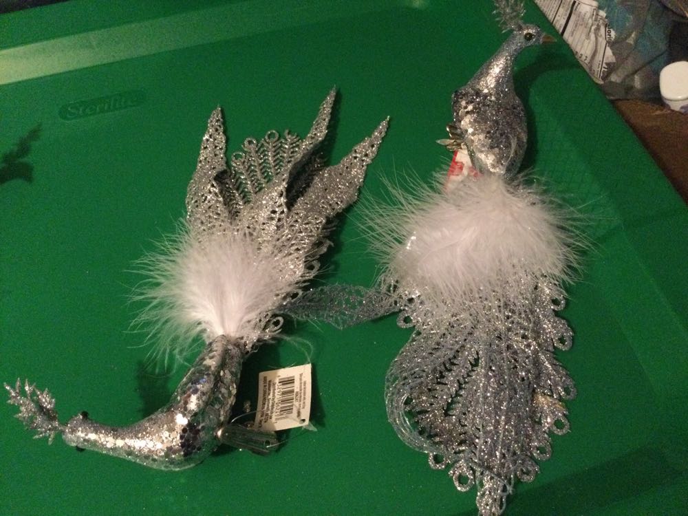 2021 The First Start I See Tonight