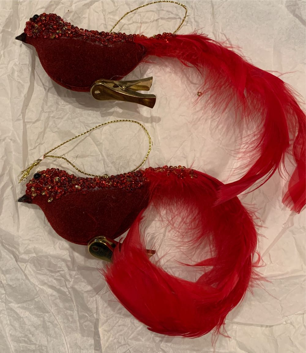 Feliz Navidad Cactus