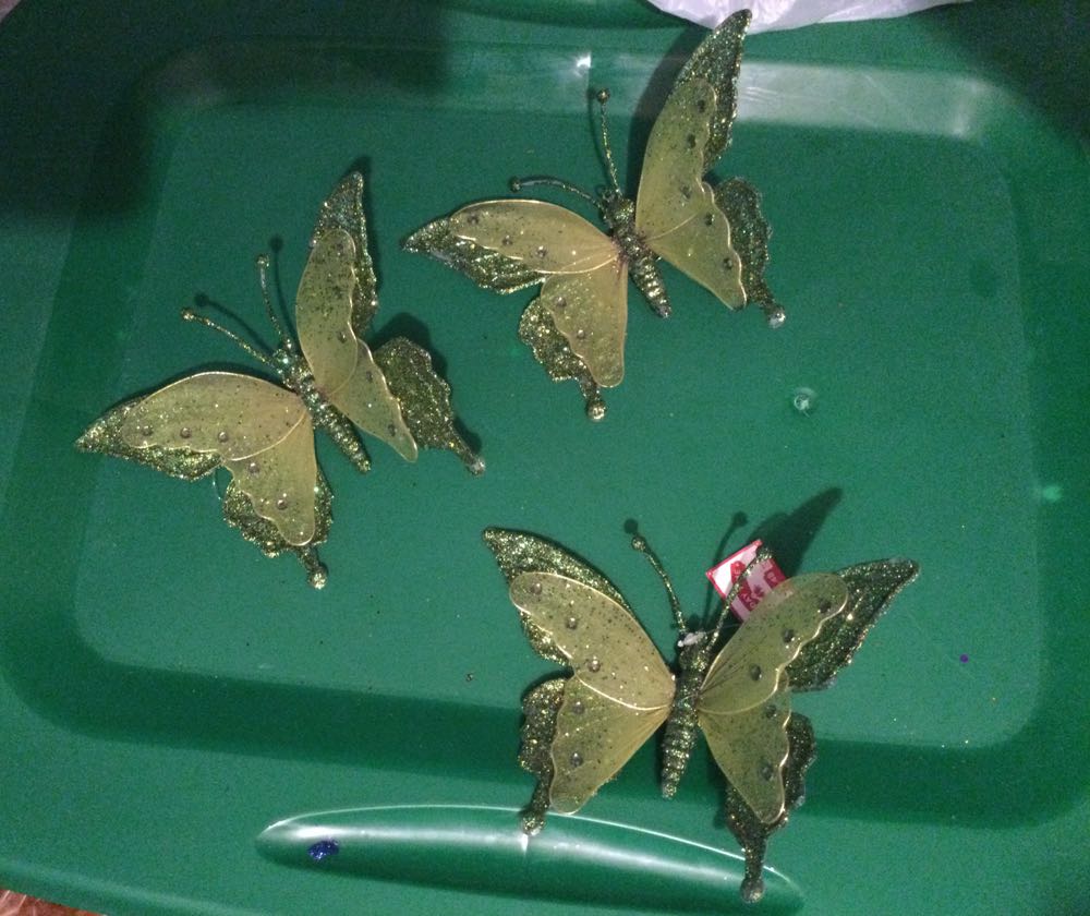 Butterfly Teal with Pink