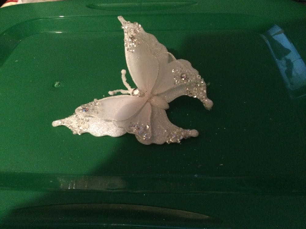 Wreathed In Christmas Joy