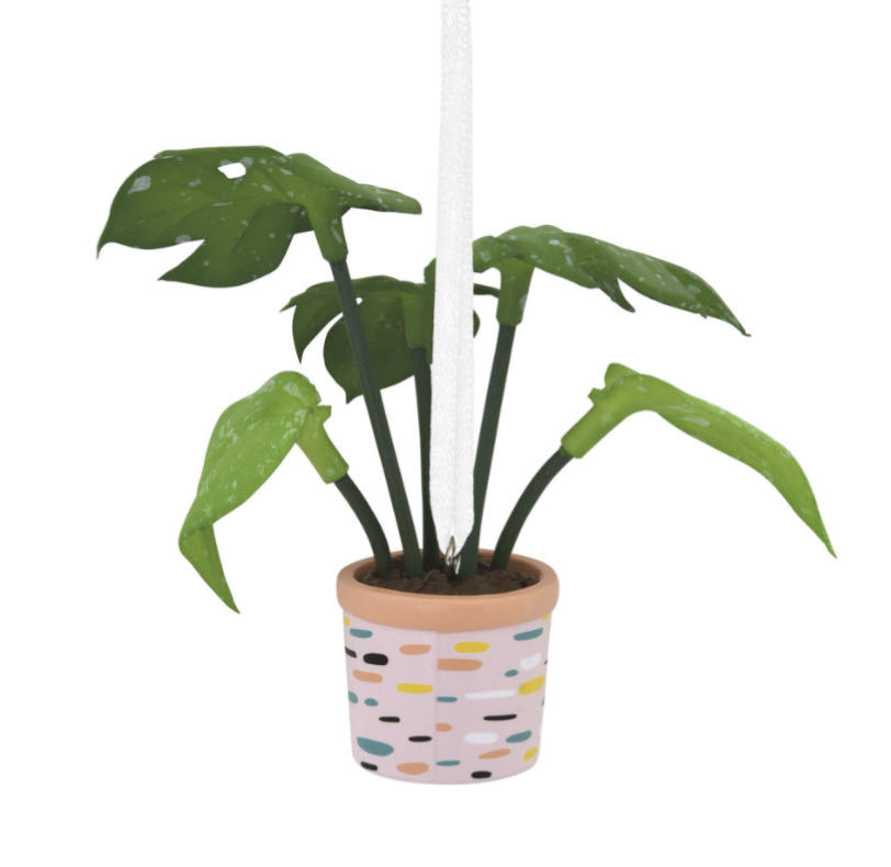 You Grow Girl Houseplant - Red Box (Gardening) ornament collectible - Main Image 2