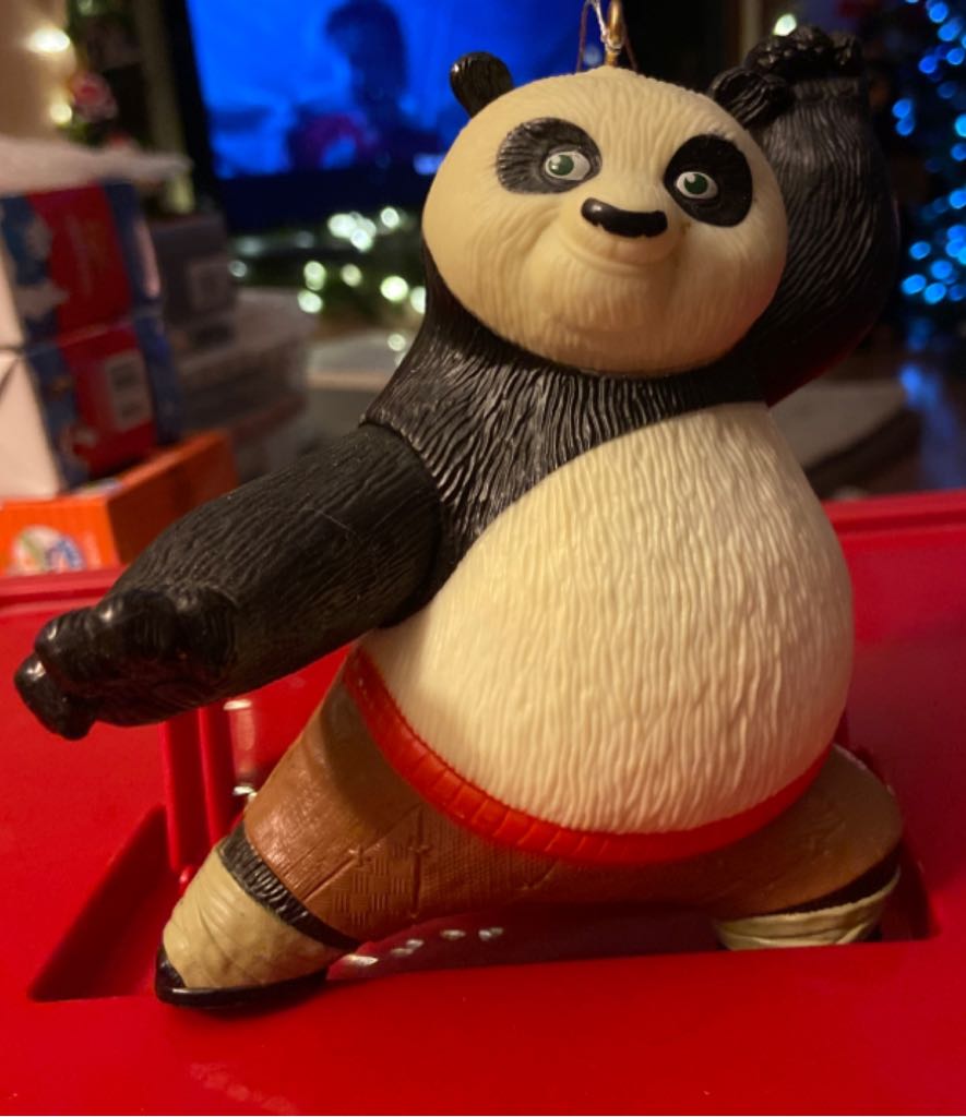 Leucistic Stellar’s Jay