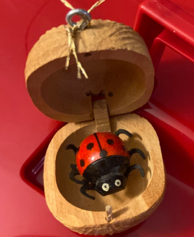 Live Your Adventure Sailing Ship