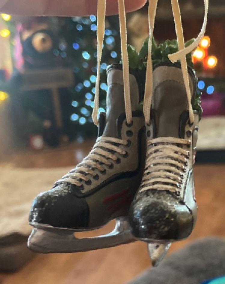 Feliz Navidad Cactus