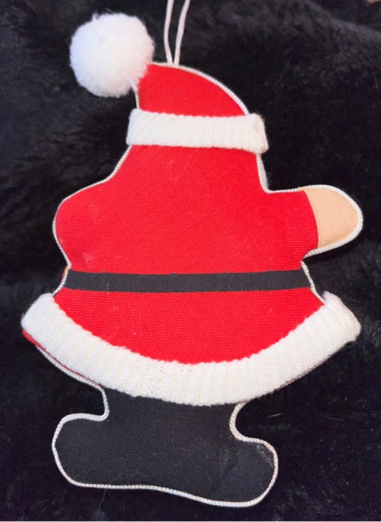 Puffy Santa - Value Village Finds (Plush) ornament collectible - Main Image 2