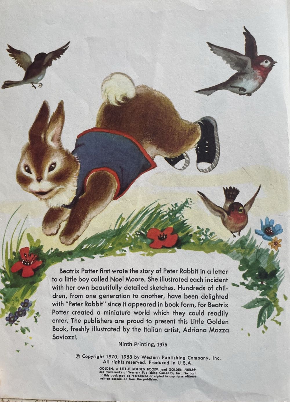 Book - Peter Cottontail - By Beatrix Potter (Children’s Books) ornament collectible - Main Image 3