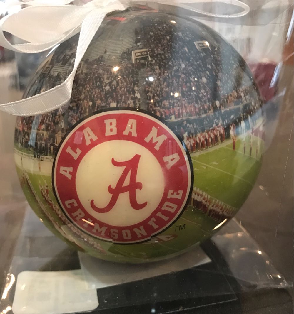 Rocky The Flying Squirrel