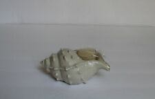 Neptune Shell Tealight  ornament collectible [Barcode 882864357496] - Main Image 1