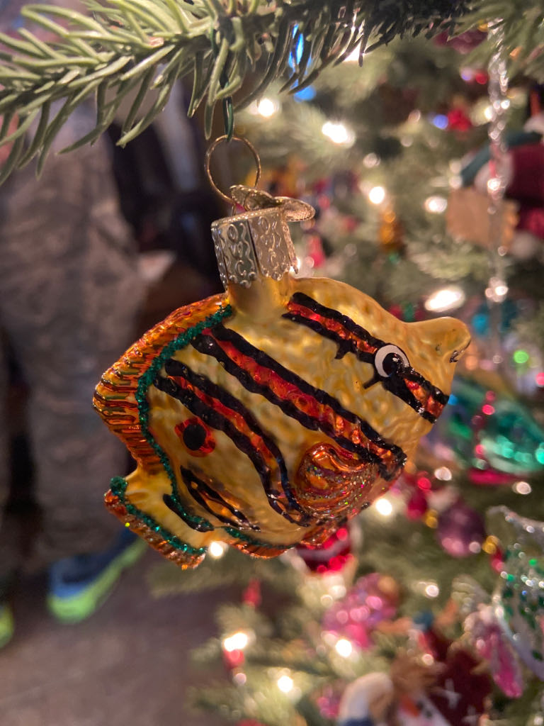 Chialu - (Set 2) - All - Complete Set