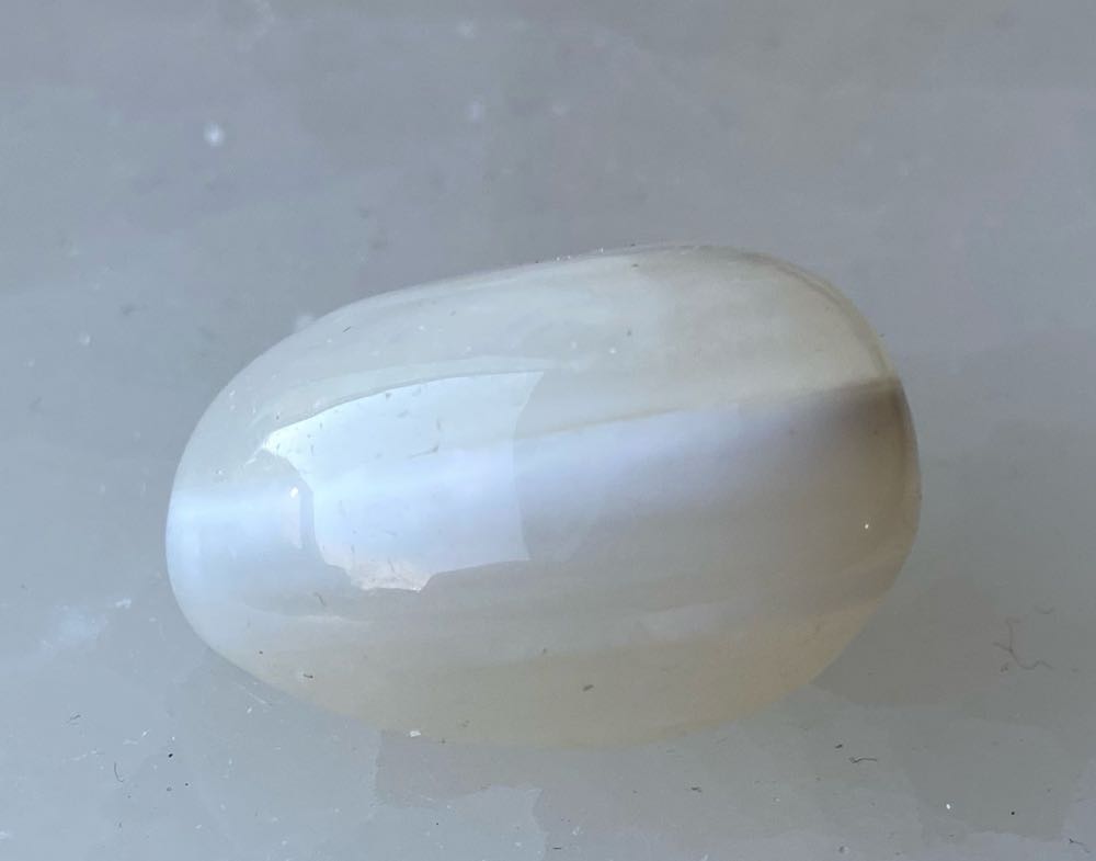 Elvis - Jailhouse Rock