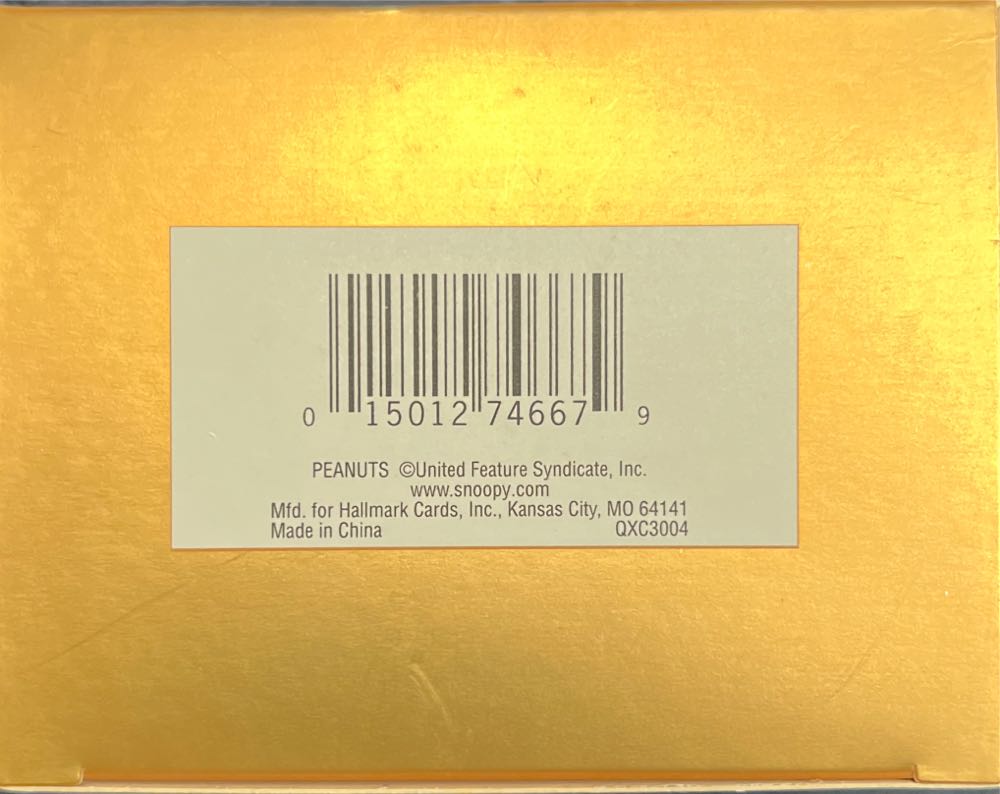 World Famous Decorator - Peanuts (Television) ornament collectible - Main Image 3