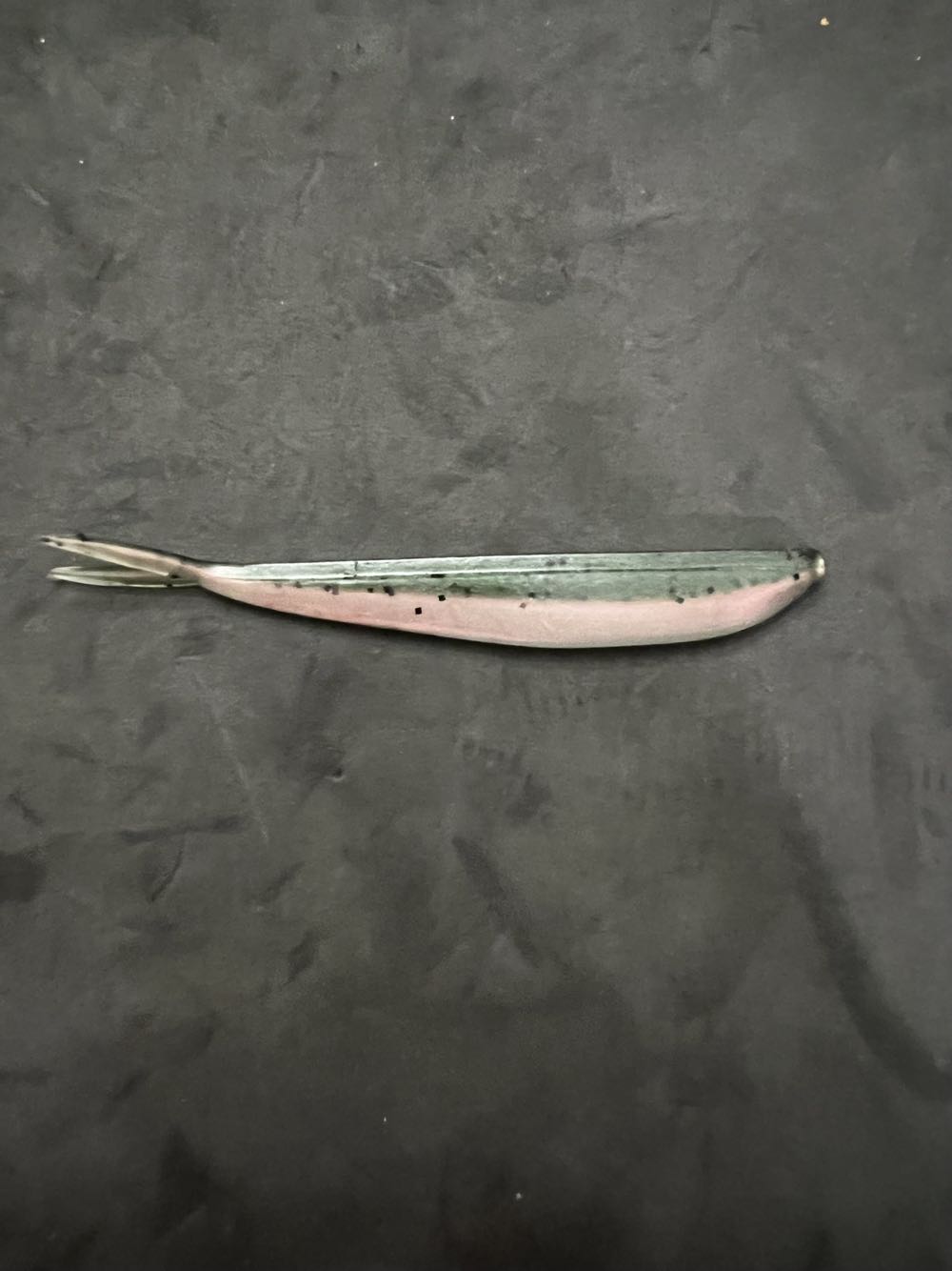 Goodwill M&G - Gradient Peacock