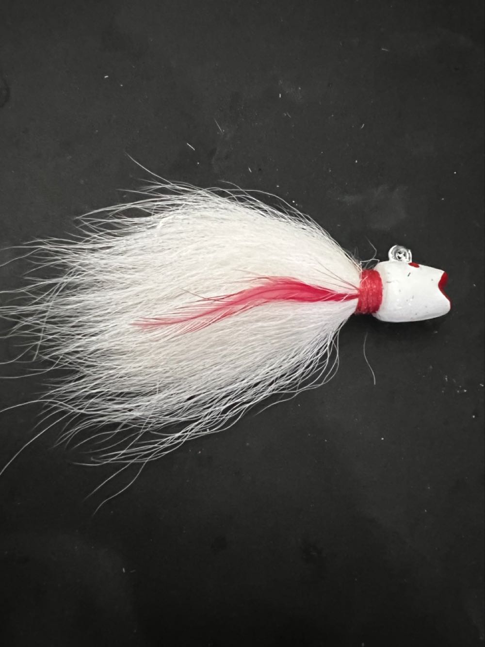 Rocky The Flying Squirrel