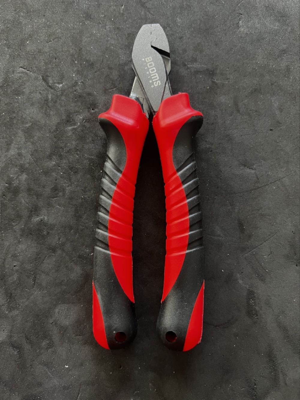 Trick-or-Treat Pooch