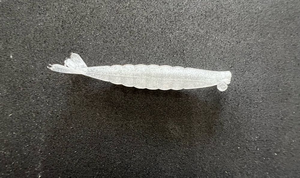 Snowball And Tuxedo #23 Sharing A Slice