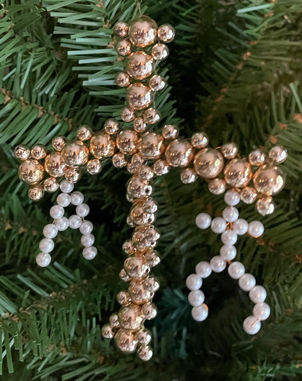 Lil’ Beauty of Birds 