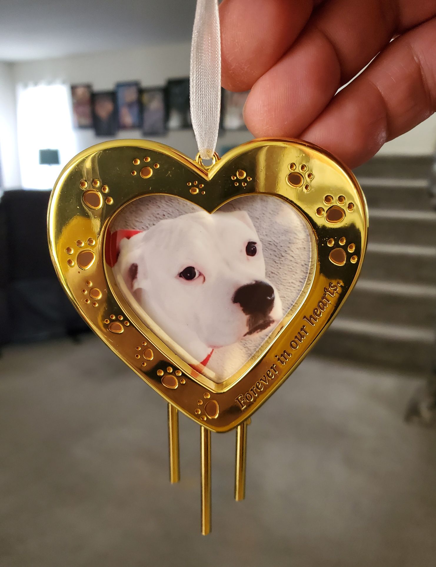 Forever Friend - Pets (Pets Frame) ornament collectible - Main Image 2