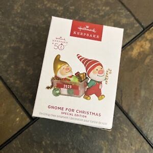 #75528 Patty’s Donuts