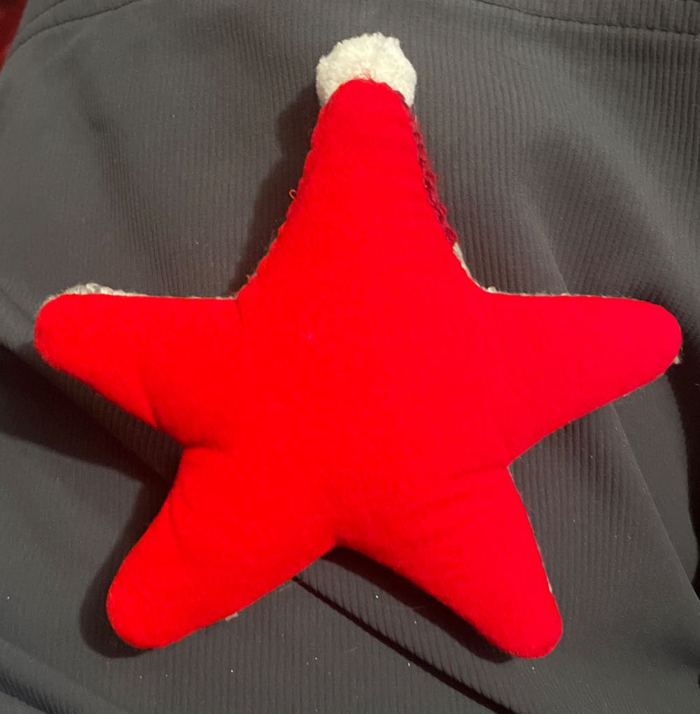 Needlepoint - Santa Star - Santa (Needlepoint) ornament collectible - Main Image 2