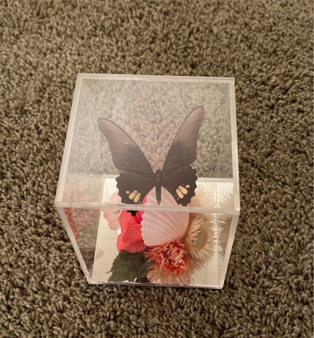Butterfly In Box  ornament collectible - Main Image 1