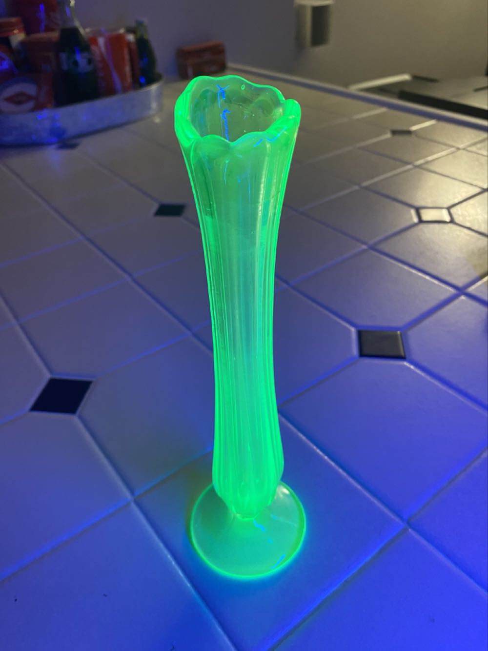 Halloween Pet Walk #22103