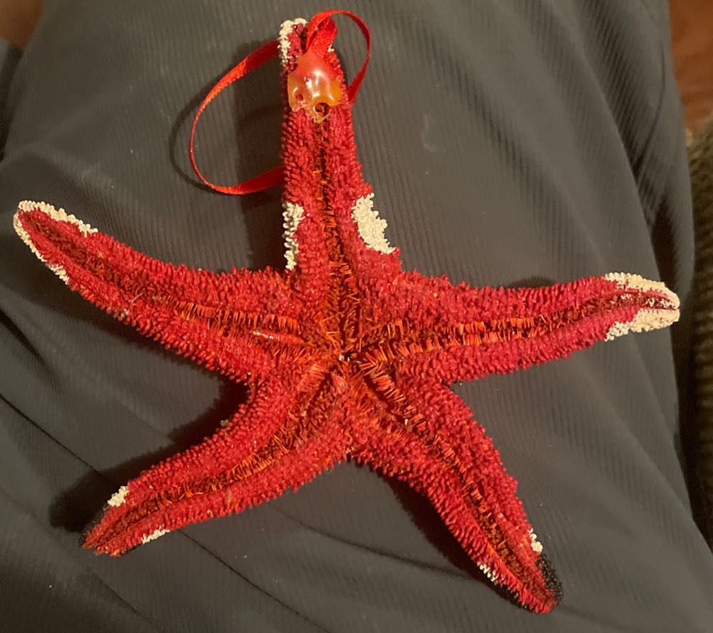 Starfish - Santa - Santa (Starfish) ornament collectible - Main Image 2