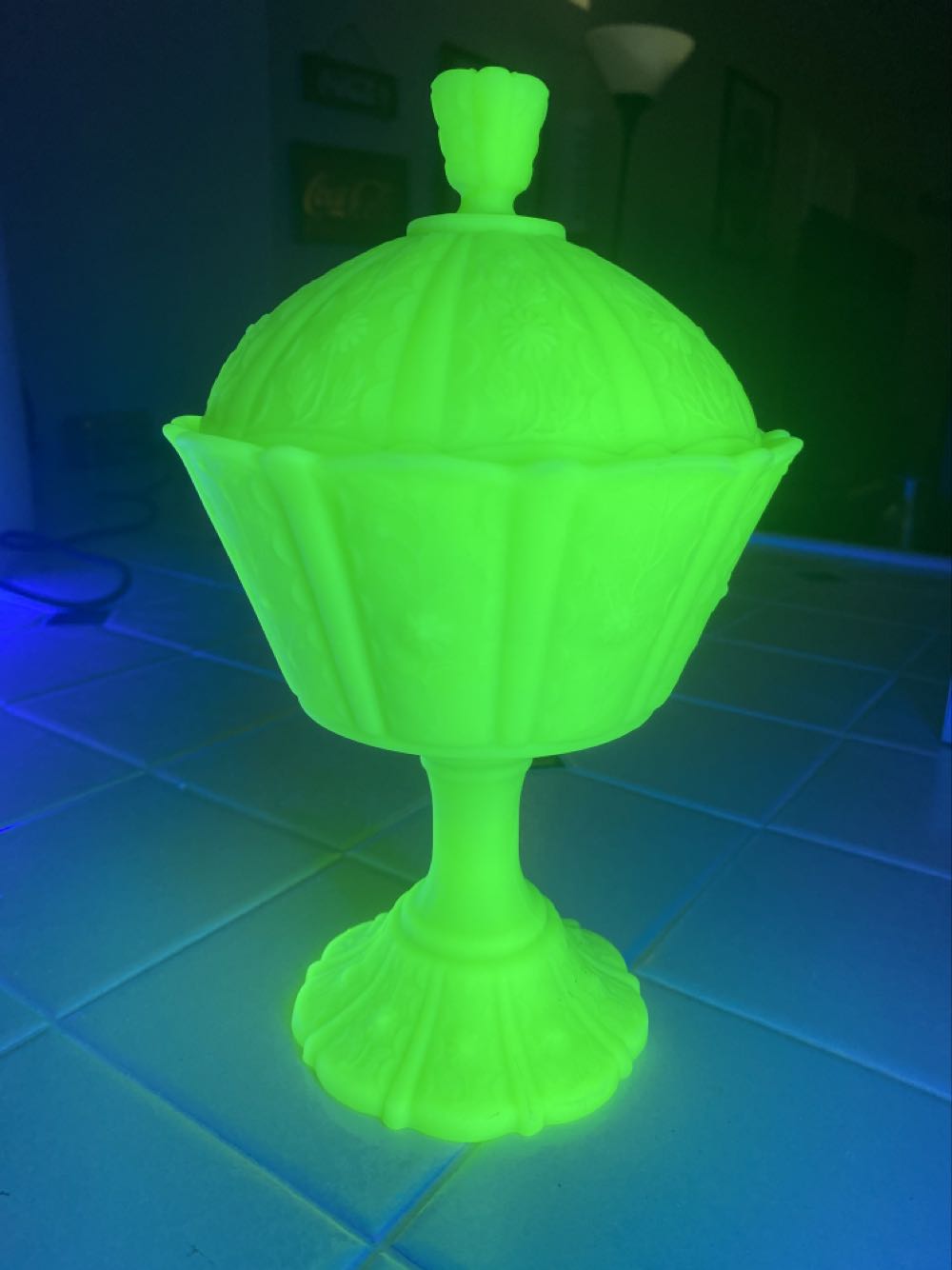 Sponge-Boxed for Christmas