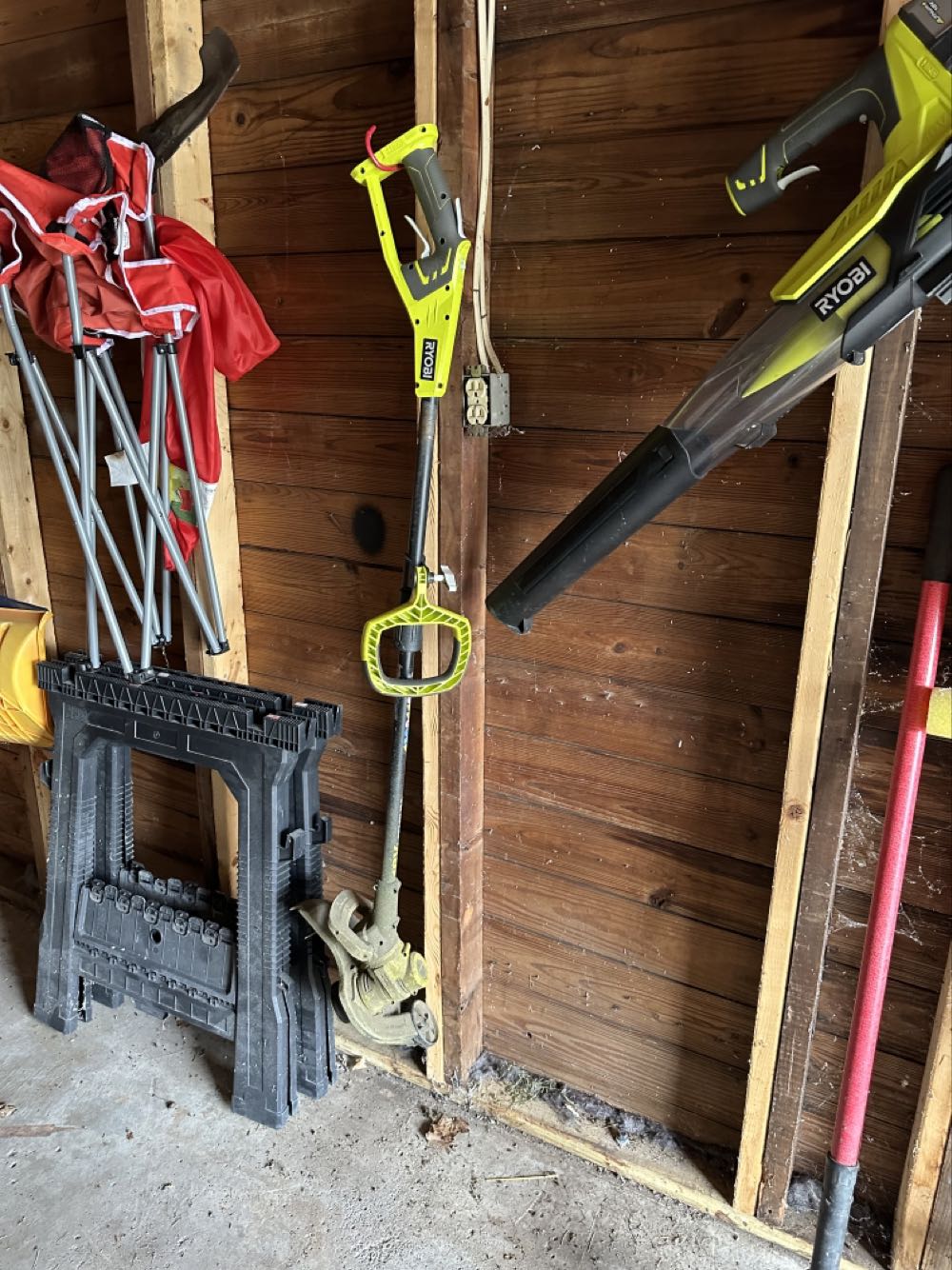 Carnival Clowning Around