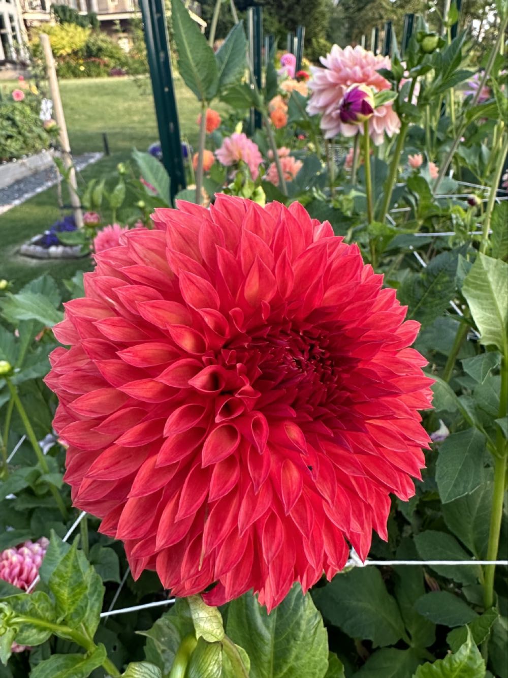 Little Tikes Jr. Jump ’N Slide Bouncer