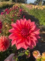 4xSolar Wall And Fence Lights 