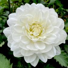 Cookie Cutter - Fox Run - Nativity Bake Set - Holy Family - Baby Jesus