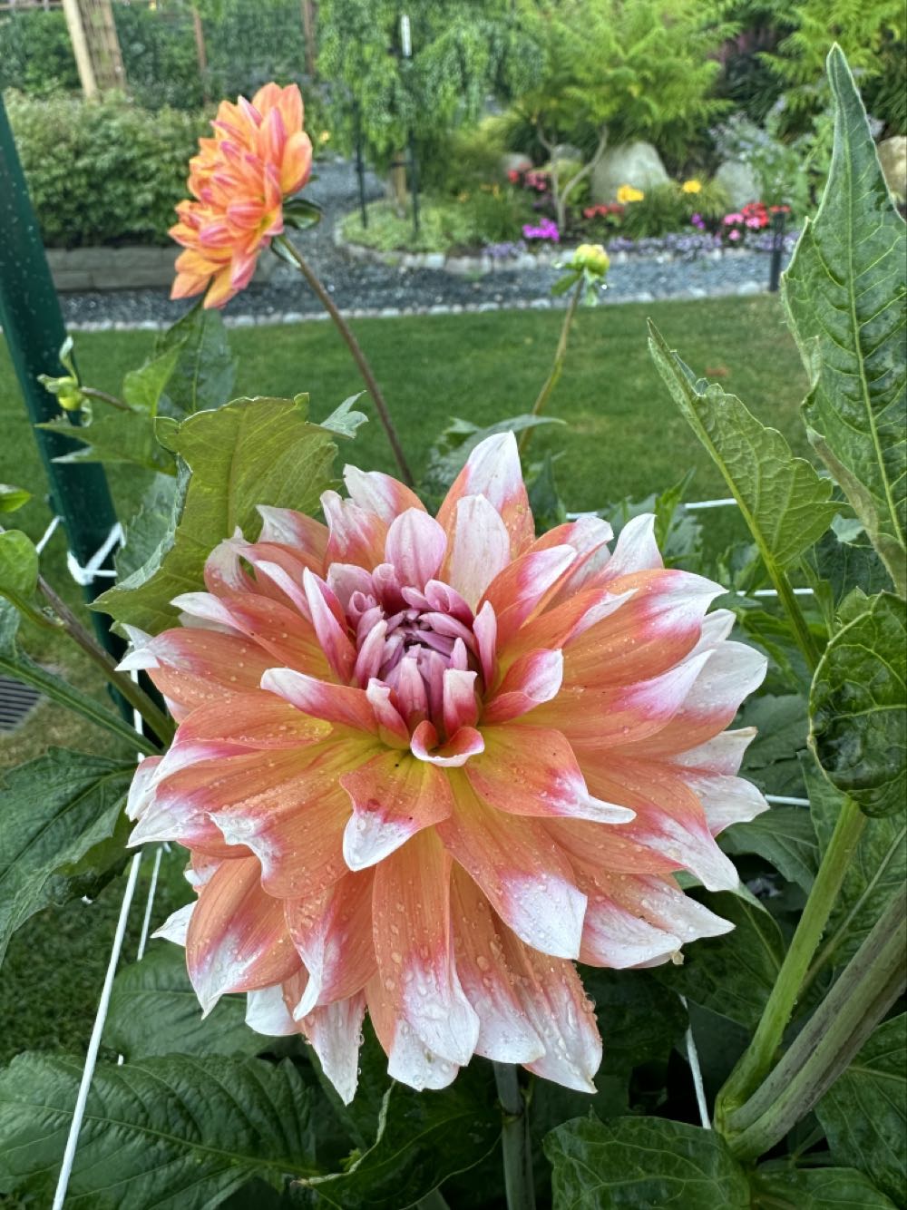 Lemax Spooky Town Shady Hollow Funeral Parlor Halloween